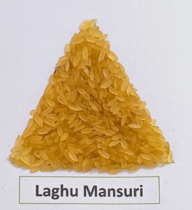 Laghu Mansuri