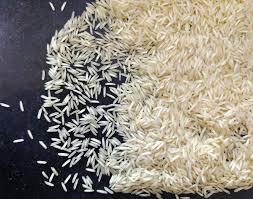 Basmati Rice