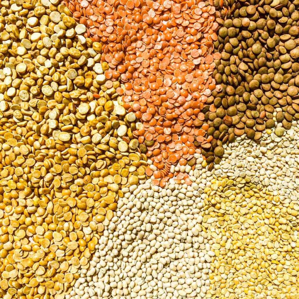 Pulses Cultivation in West Bengal: Nutrition from Bengal’s Fertile Lands