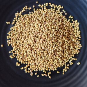 Coriander/ Dhania